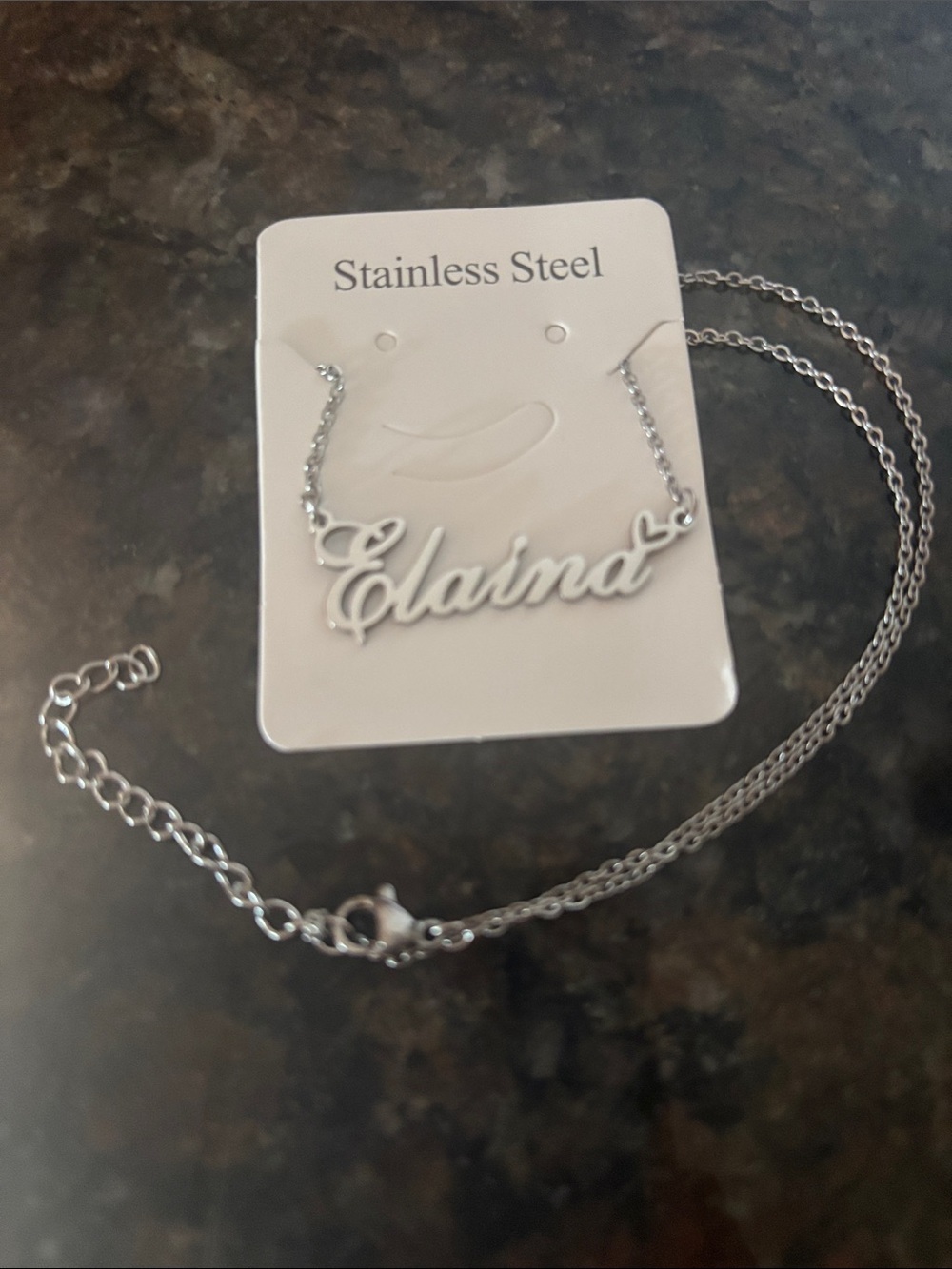 Personalized "Elaina"Stainless Steel Name Necklace in Silver
